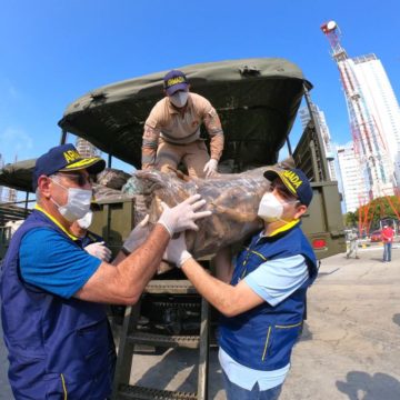 Blel entrega a Dau 20 toneladas de vitualla que llegaron de la Alta Montaña