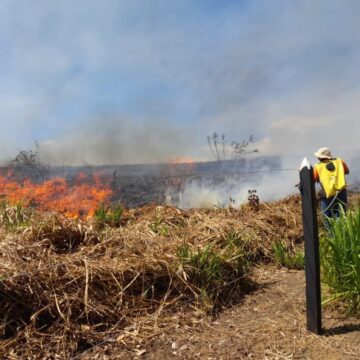 En plena temporada de incendios forestales, en San Juan no apagan paro de bomberos