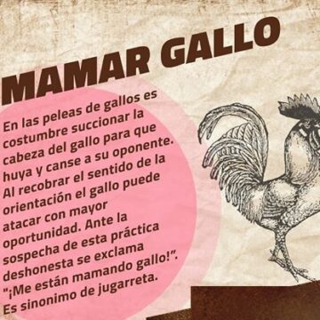 Le mamaron gallo al país, zorros enredados en la corrupción y el poder