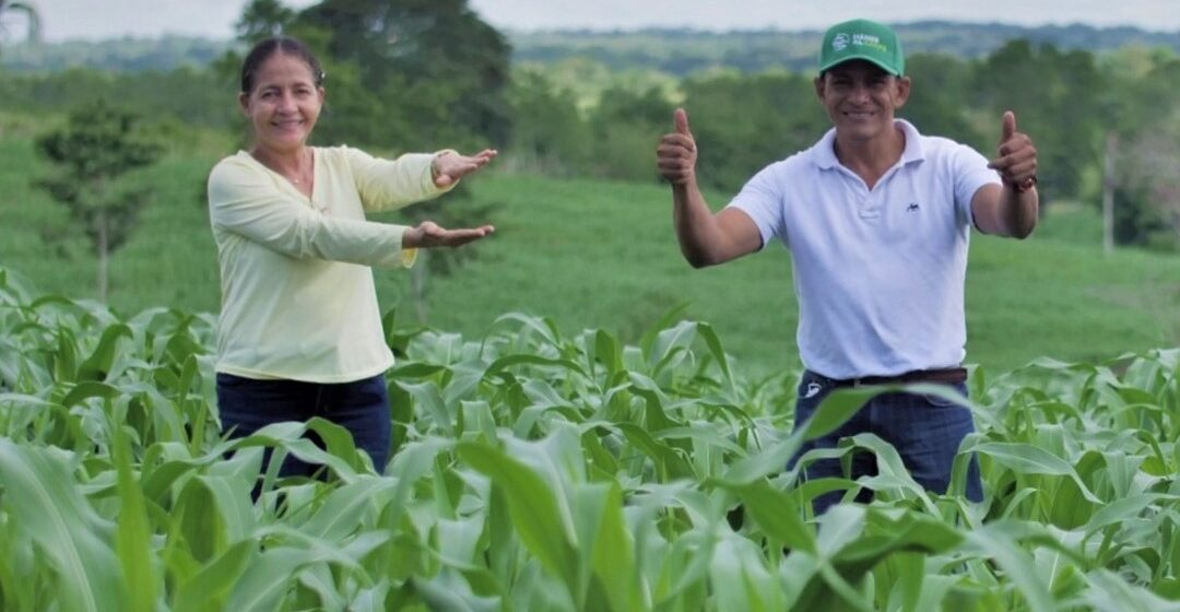 Con una inversión de $360 millones, Promigas impulsa producción agrícola en el Caribe colombiano
