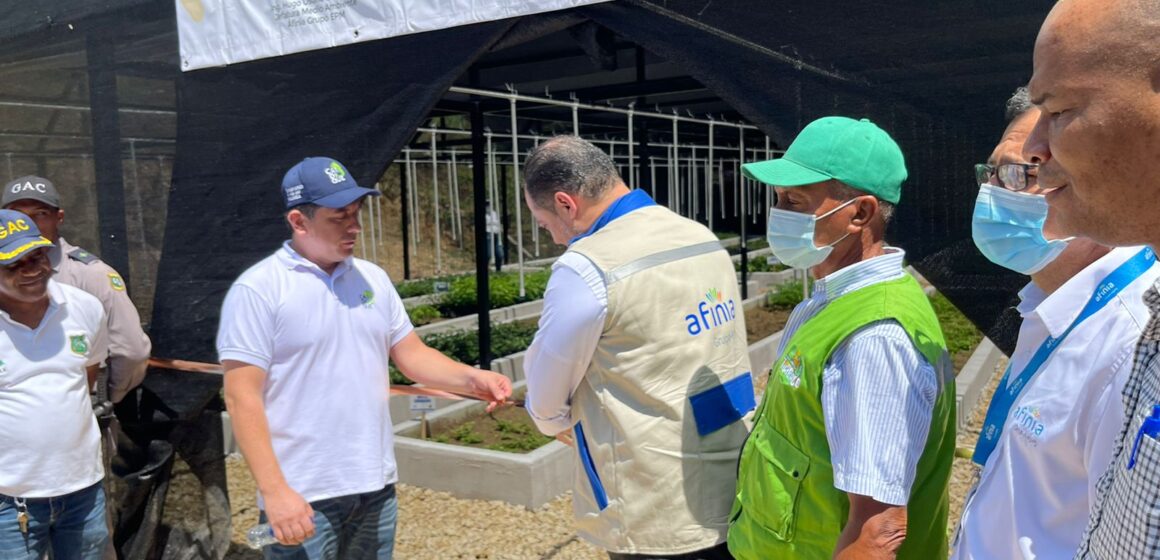 Cardique inició siembra de 59 mil árboles que se suman al millón 600 plantados en 2021 Cardique inició siembra de 59 mil árboles que se suman al millón 600 plantados en 2021