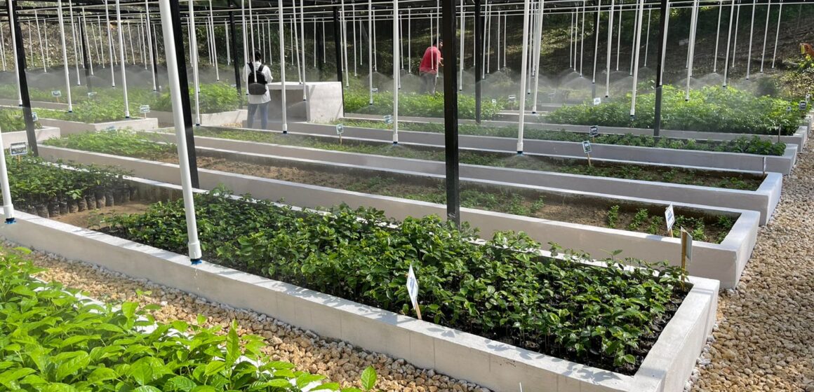 Turbaco será un municipio verde, un esfuerzo de la Alcaldía, Cardique y Afinia