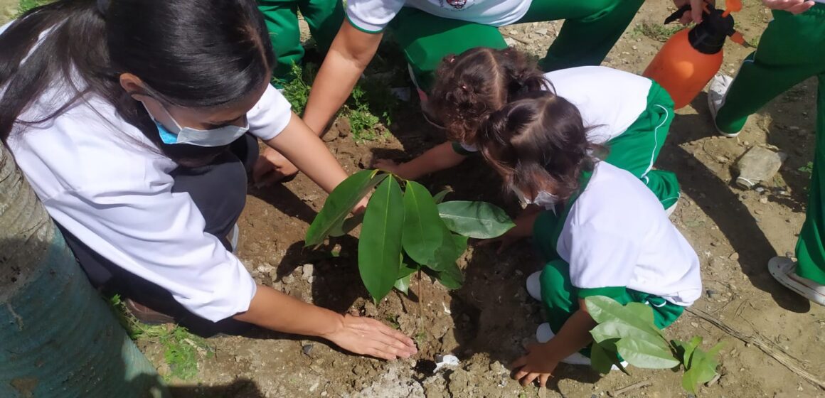 Afinia lideró una jornada de siembra de árboles en el barrio Normandía de Sincelejo Afinia lideró una jornada de siembra de árboles en el barrio Normandía de Sincelejo