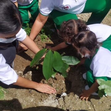 Afinia lideró una jornada de siembra de árboles en el barrio Normandía de Sincelejo Afinia lideró una jornada de siembra de árboles en el barrio Normandía de Sincelejo