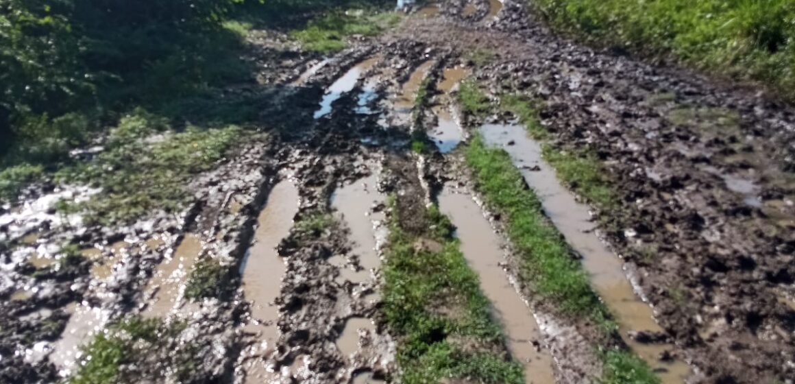 Desidia: “200 campesinos sufren por mal estado de vía rural en Mahates”