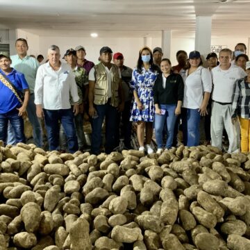 Familias restituidas del Carmen exportan las primeras 24 toneladas de ñame a Puerto Rico