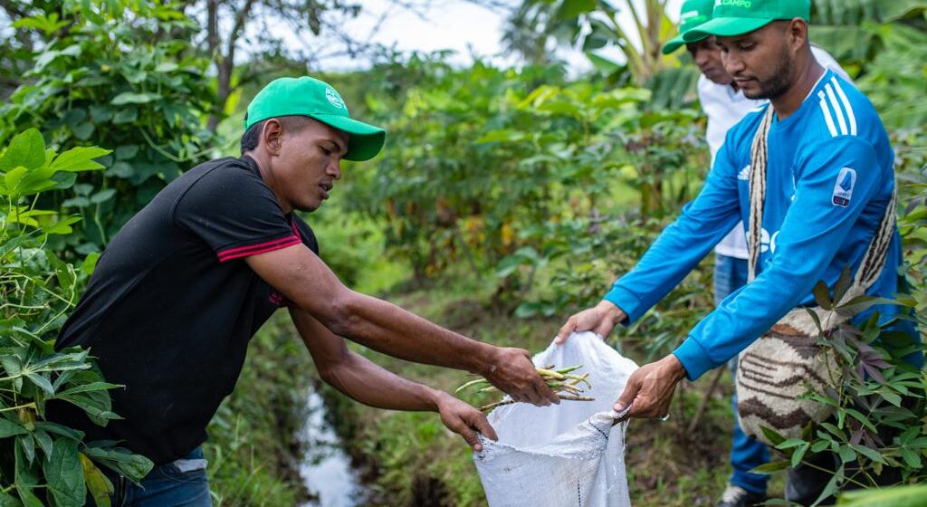 Con Manos al Campo, Promigas y Surtigas apoyan a campesinos de Bolívar, Córdoba y Sucre Con Manos al Campo, Promigas y Surtigas apoyan a campesinos de Bolívar, Córdoba y Sucre