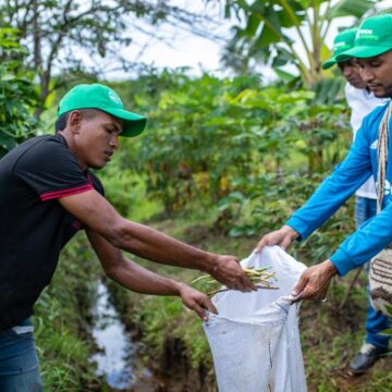 Con Manos al Campo, Promigas y Surtigas apoyan a campesinos de Bolívar, Córdoba y Sucre