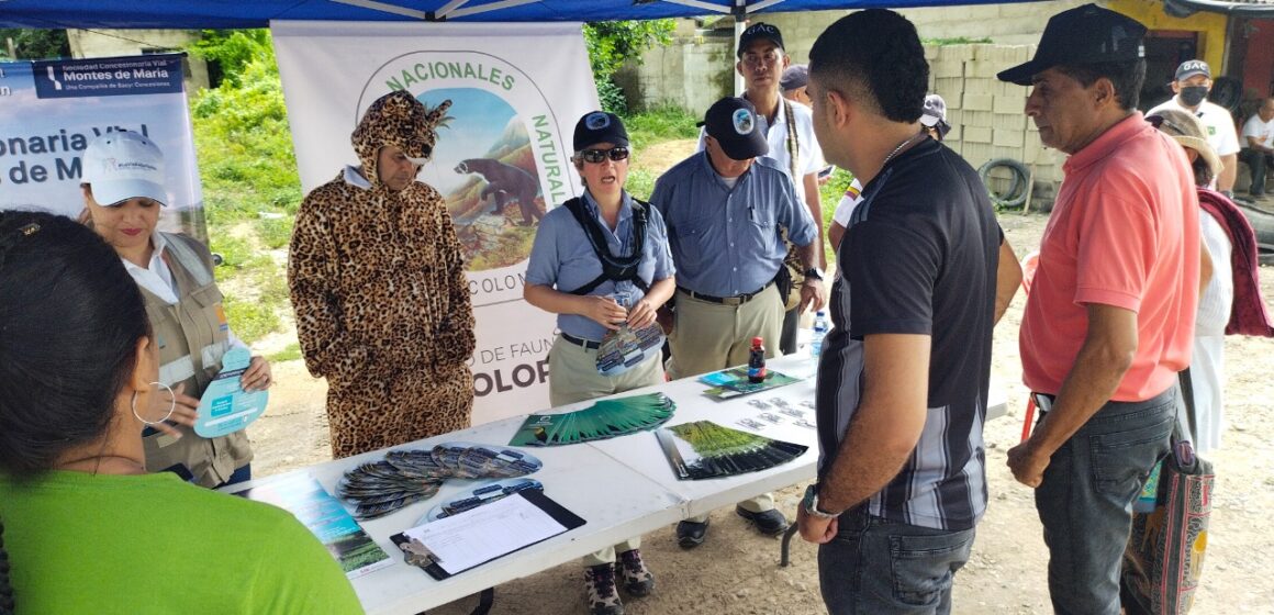 En San Juan, más de 500 animales silvestres arrollados, se intensifica campaña con conductores En San Juan, más de 500 animales silvestres arrollados, se intensifica campaña con conductores