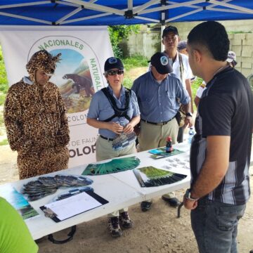 En San Juan, más de 500 animales silvestres arrollados, se intensifica campaña con conductores