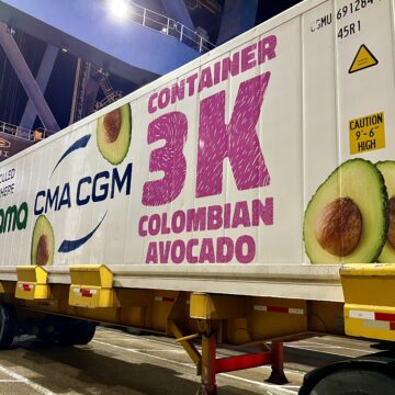 Desde Cartagena han salido 3.000 contenedores con aguacate hass rumbo a Roterdam