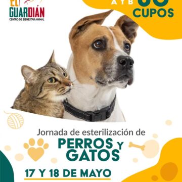 Centro de Bienestar Animal El Guardián alista jornadas de esterilización para perros y gatos