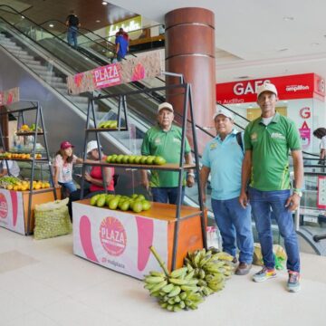 Mercado Campesino se tomó el Mall Plaza, del campo a la mesa de los cartageneros Mercado Campesino se tomó el Mall Plaza, del campo a la mesa de los cartageneros