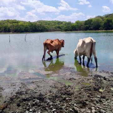 Alerta por Fenómeno del Niño, más calor y menos lluvia le esperan a municipios de Bolívar